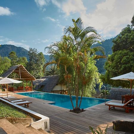 Pumarinri Amazon Lodge タラポト エクステリア 写真