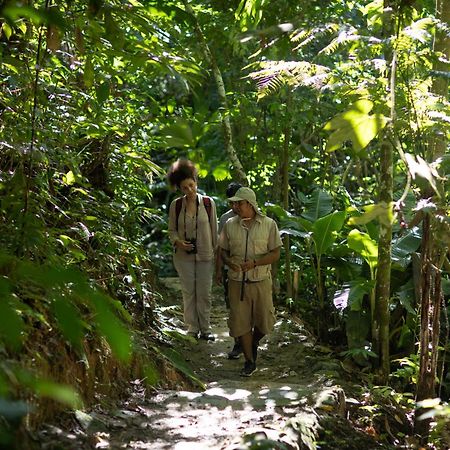 Pumarinri Amazon Lodge タラポト エクステリア 写真