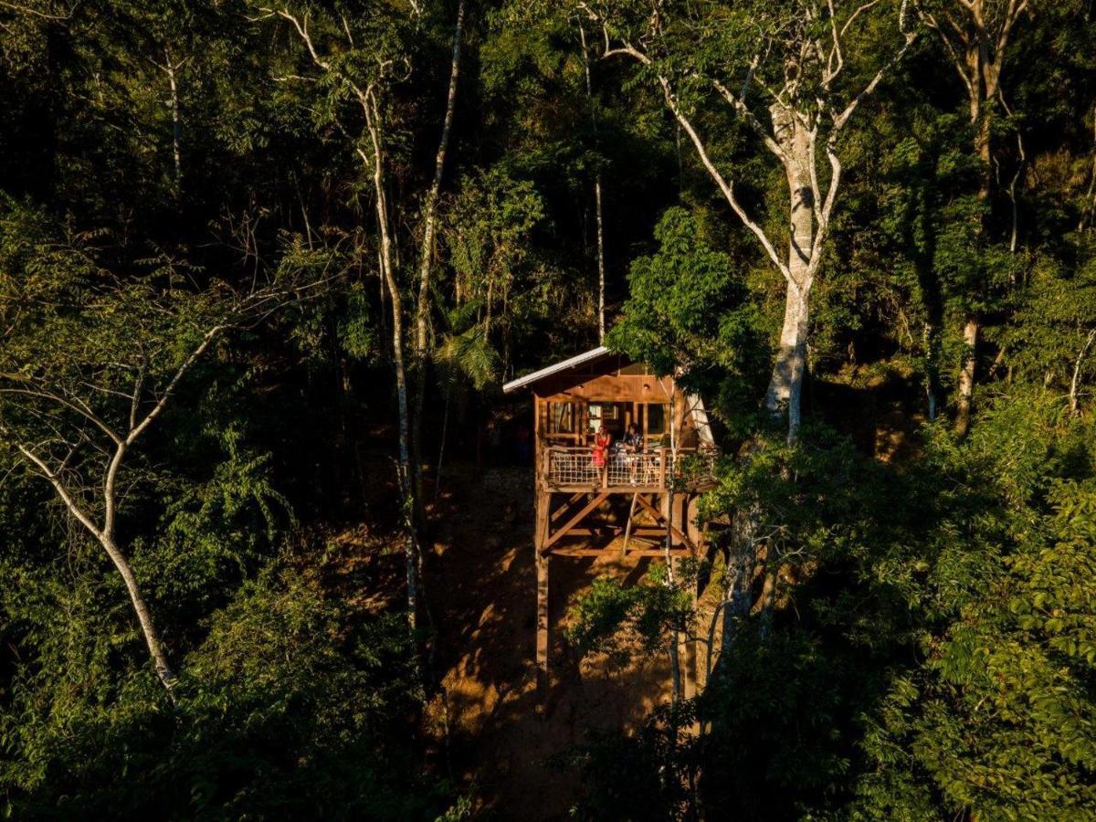 Pumarinri Amazon Lodge タラポト エクステリア 写真