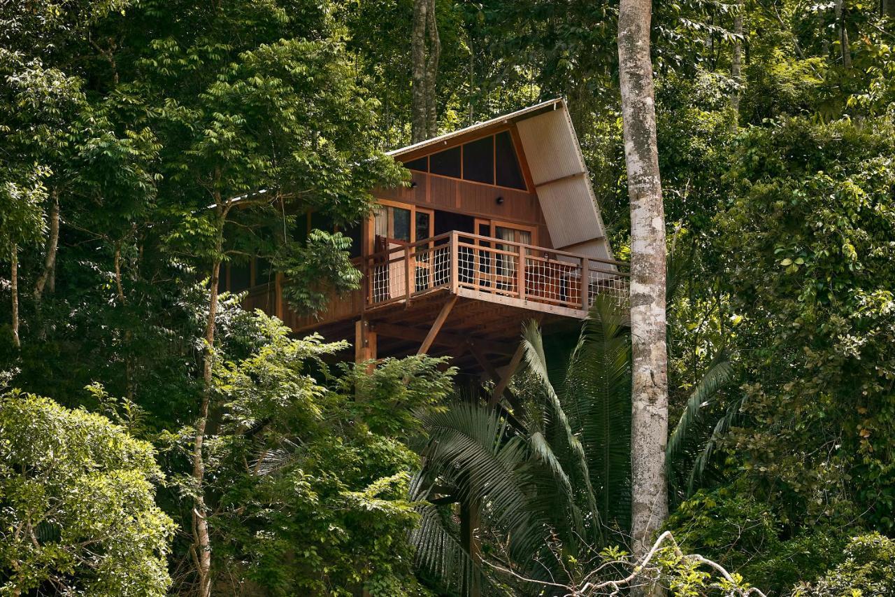 Pumarinri Amazon Lodge タラポト エクステリア 写真