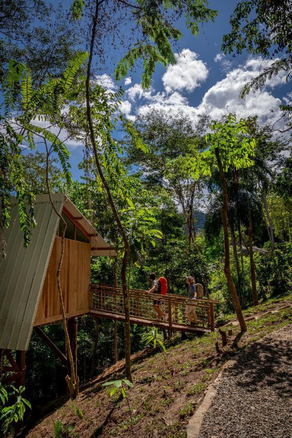 Pumarinri Amazon Lodge タラポト エクステリア 写真