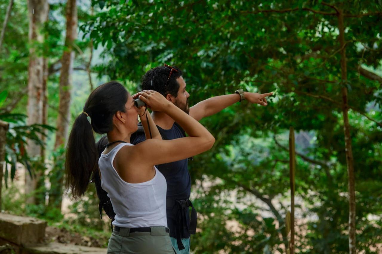 Pumarinri Amazon Lodge タラポト エクステリア 写真