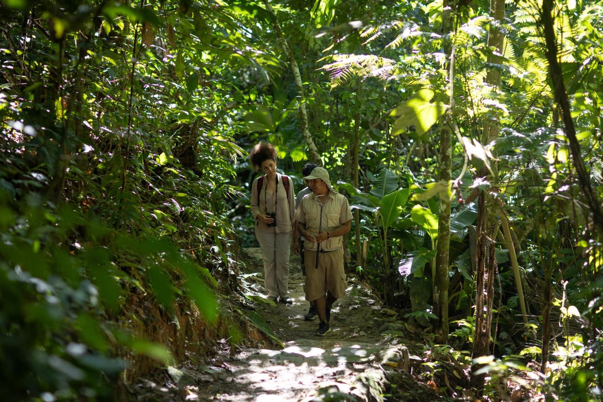 Pumarinri Amazon Lodge タラポト エクステリア 写真