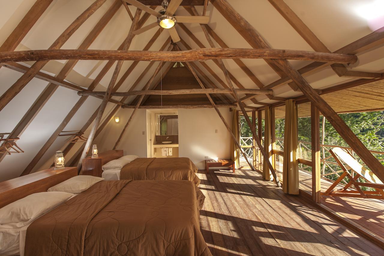 Pumarinri Amazon Lodge タラポト 部屋 写真