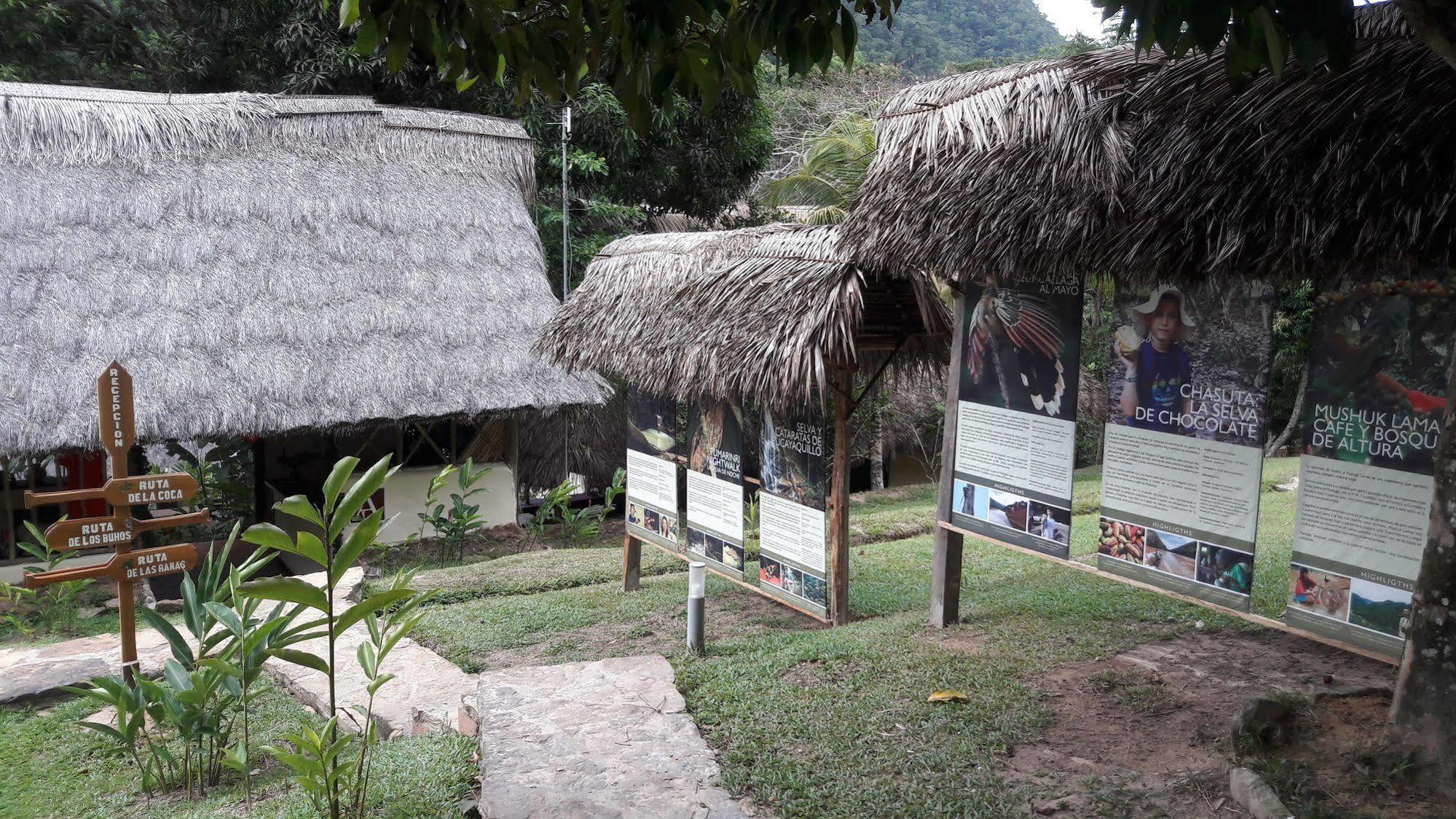 Pumarinri Amazon Lodge タラポト エクステリア 写真