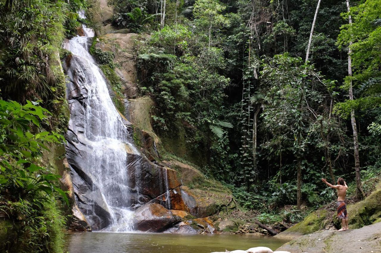 Pumarinri Amazon Lodge タラポト エクステリア 写真